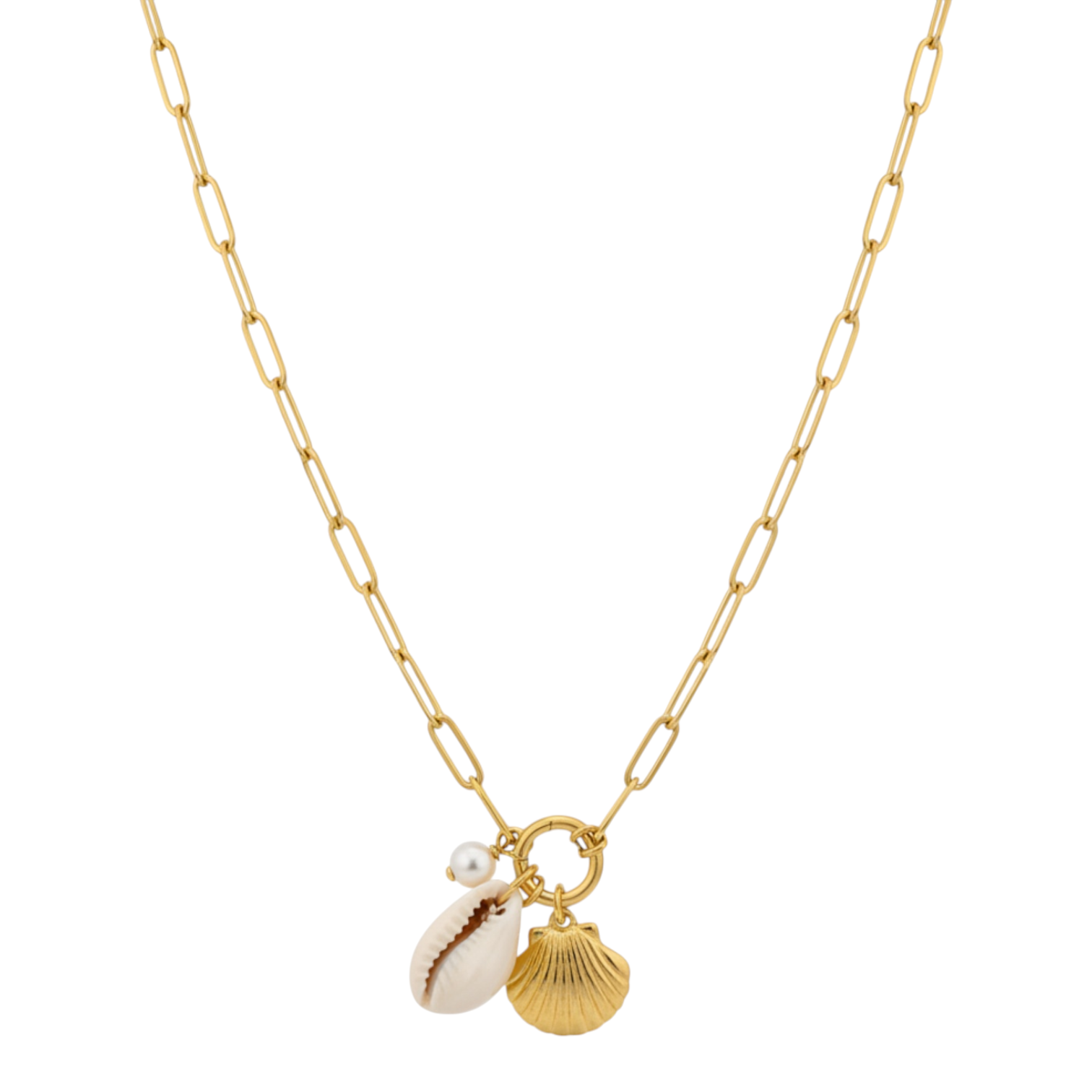 Coastline Shell Necklace