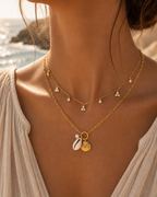 Coastline Shell Necklace