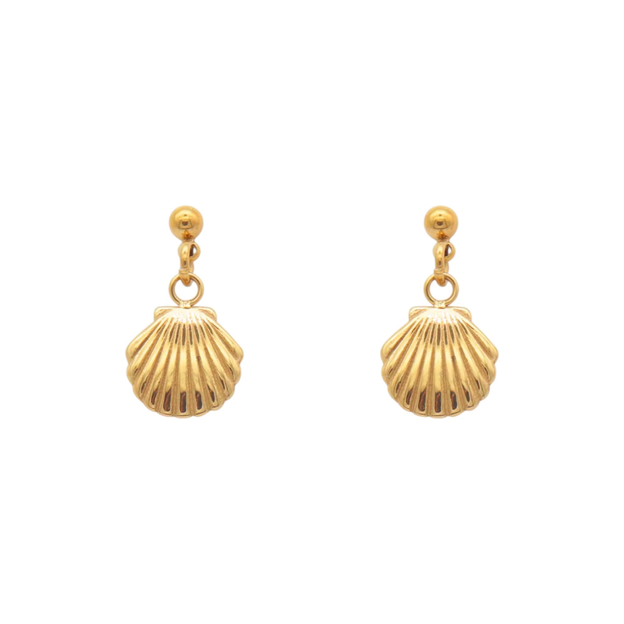 Shell Shape Drop Earrings